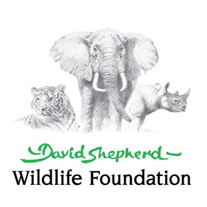 davidshepard